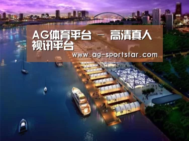 案例展示八