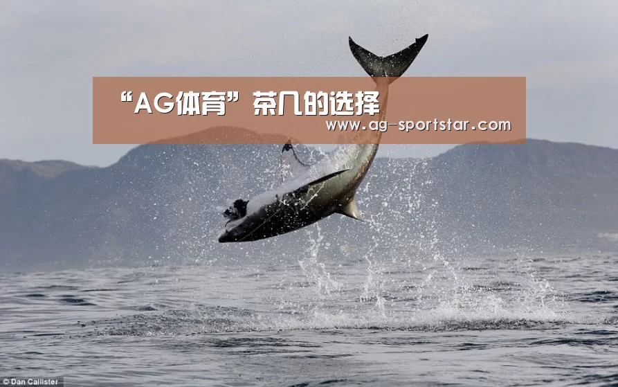 “AG体育”茶几的选择(图3) AG篮球