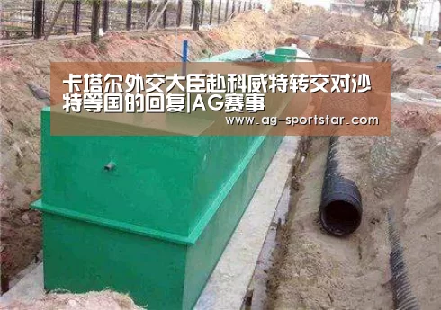 卡塔尔外交大臣赴科威特转交对沙特等国的回复|AG赛事(图1) AG赛事