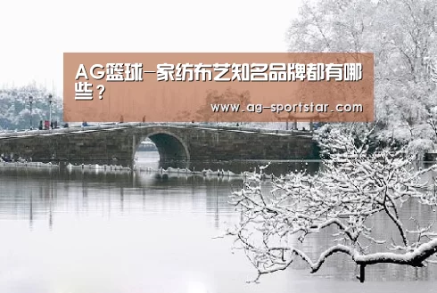 AG篮球-家纺布艺知名品牌都有哪些?(图1) AG体育
