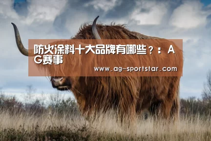 AG足球