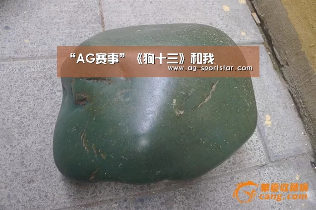 “AG赛事”《狗十三》和我(图2) AG篮球