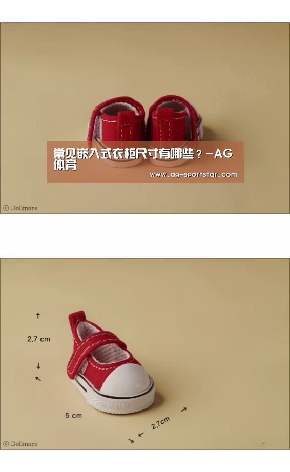 常见嵌入式衣柜尺寸有哪些?-AG体育(图1) AG体育