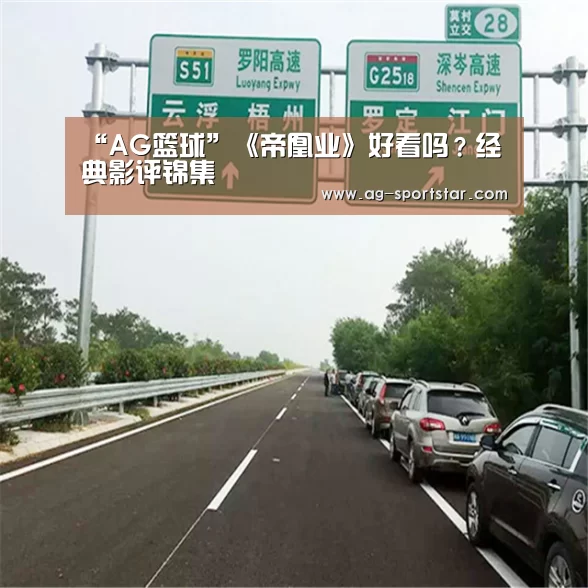 “AG篮球”《帝凰业》好看吗?经典影评锦集(图1) AG篮球