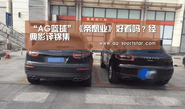 “AG篮球”《帝凰业》好看吗?经典影评锦集(图2) AG体育