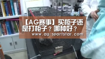 【AG赛事】买柜子还是打柜子?哪种好?(图1) AG篮球